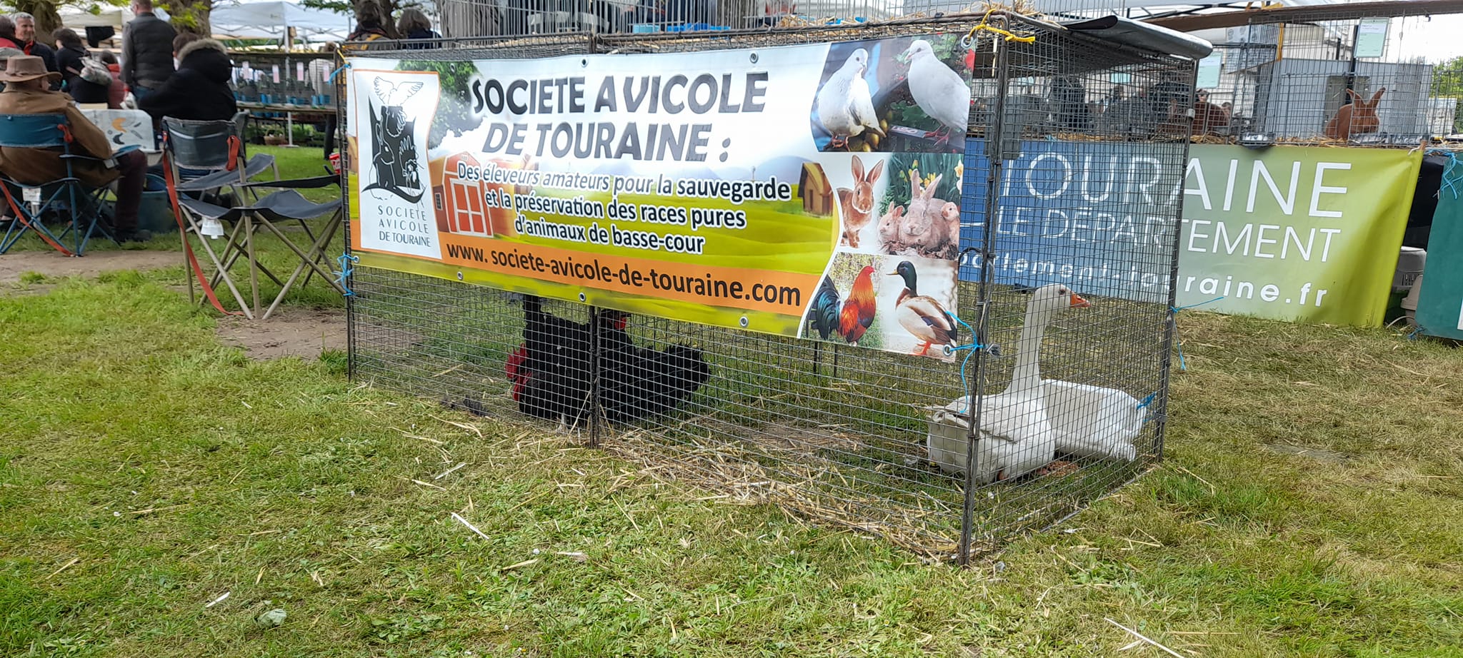 Société Avicole de Touraine